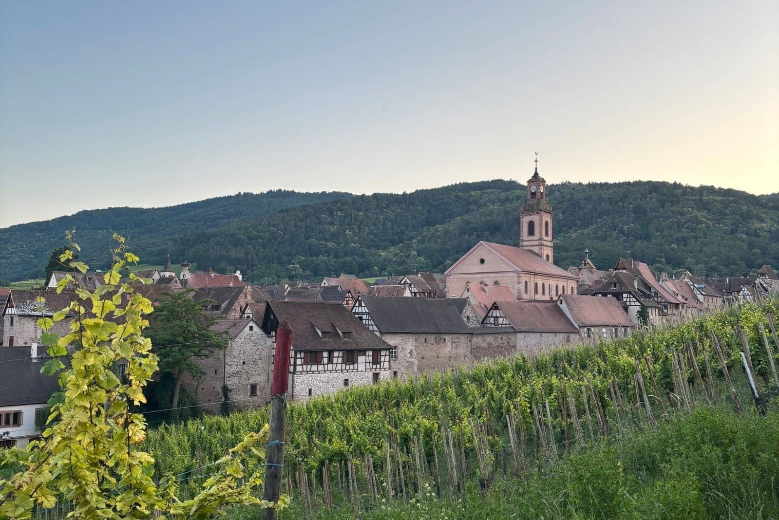 Vignoble de Riquewihr restaurant Le Sarment d'Or 