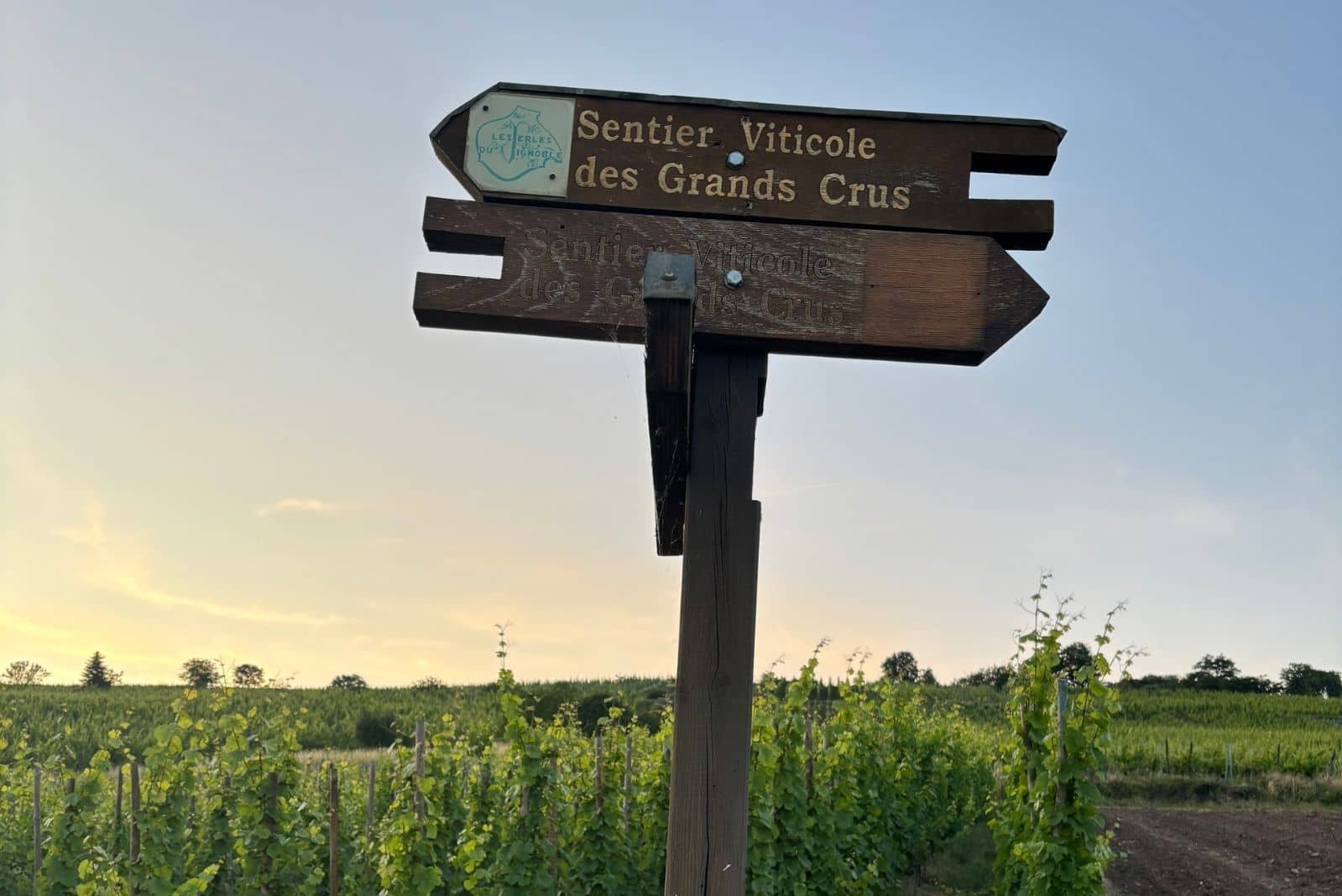 Vignoble de Riquewihr restaurant Le Sarment d'Or 