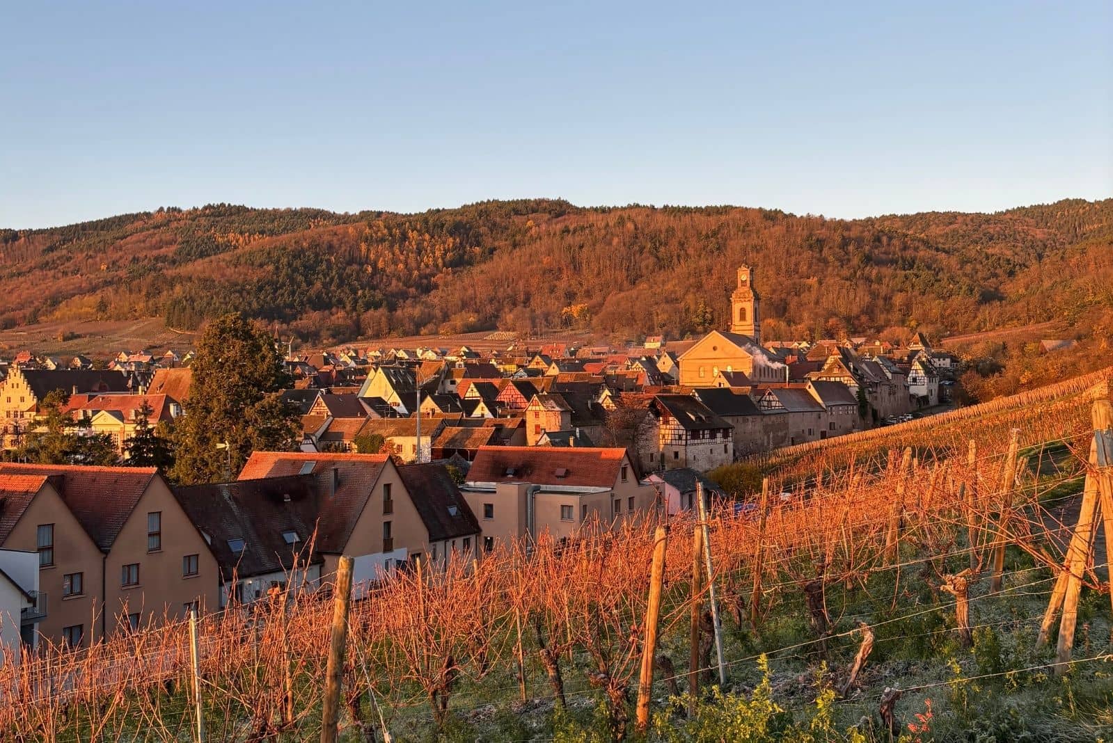 Riquewihr au coeur du  vignoble alsacien restaurant Le Sarment d'Or 